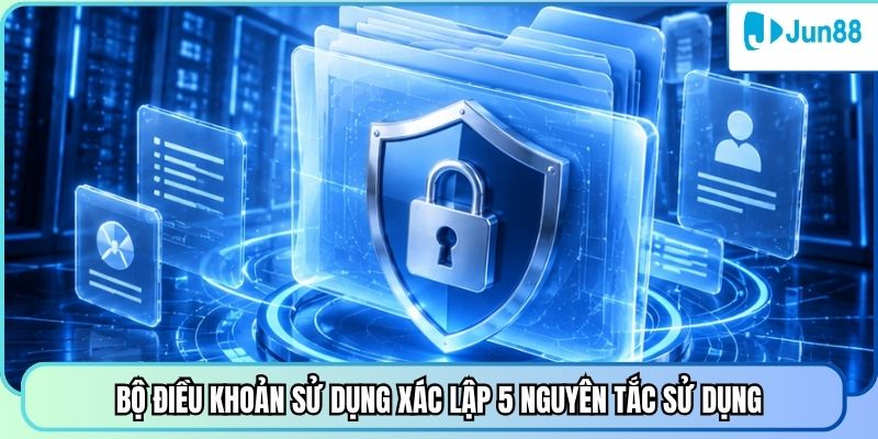 Bộ điều khoản sử dụng xác lập 5 nguyên tắc sử dụng