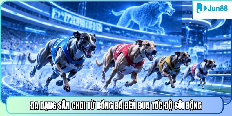 Đa dạng sân chơi từ bóng đá đến đua tốc độ sôi động